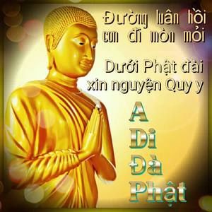 Meet your Posher, Uyen